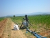 Drip irrigation on 30 ha corn yard with drip tape Aqua-TraXX